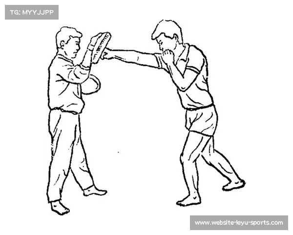 非洲武术标准化进程与国际武联裁判手册修订及散打计分规则统一探讨